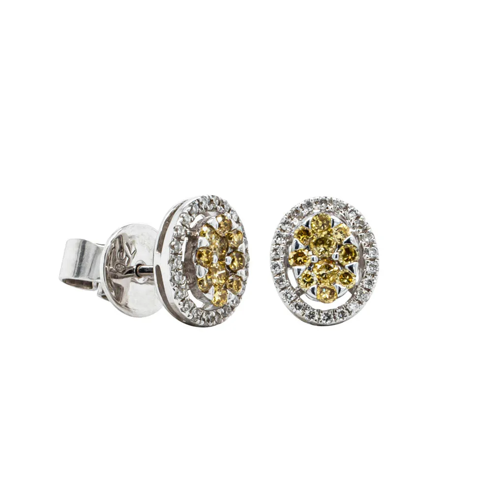 18ct White Gold Yellow Diamond Earrings