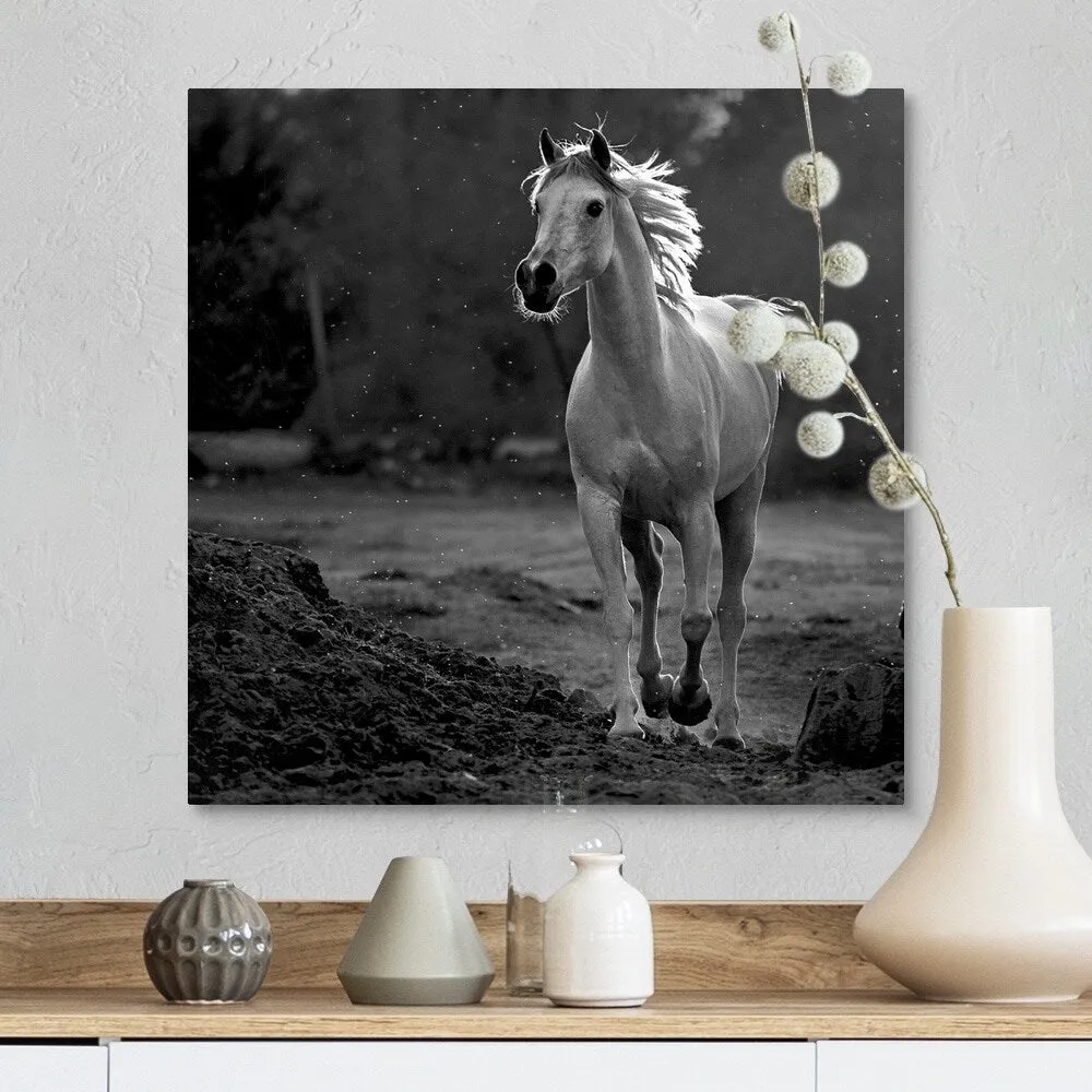 "Coquetry" Canvas Wall Art